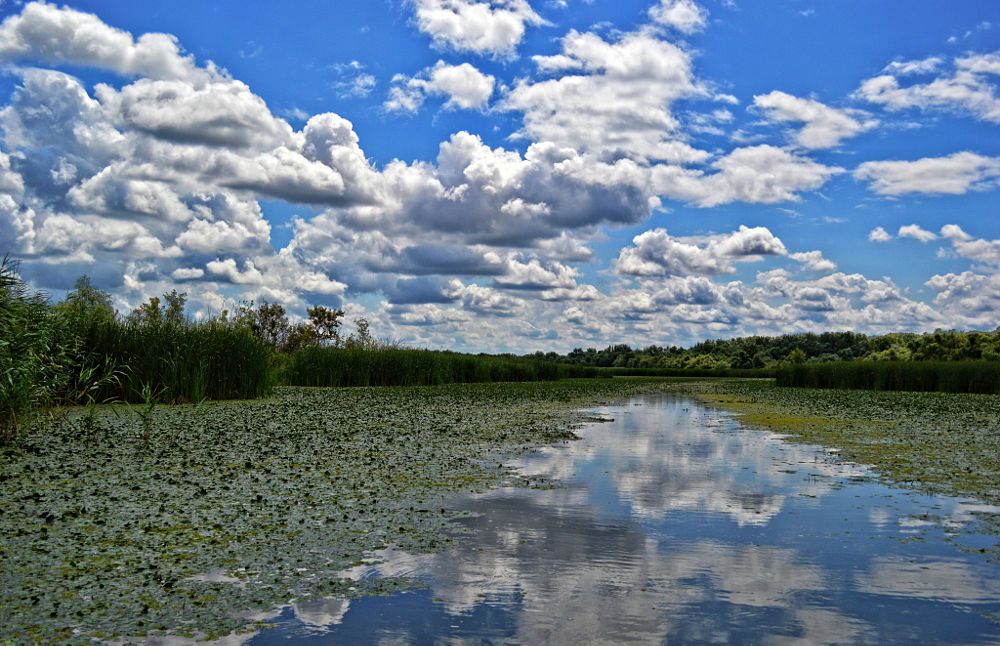 https://mdw-travel-data-us-east-1.s3.amazonaws.com/img/country/Hungary/Tisza-Lake/img_03.jpg