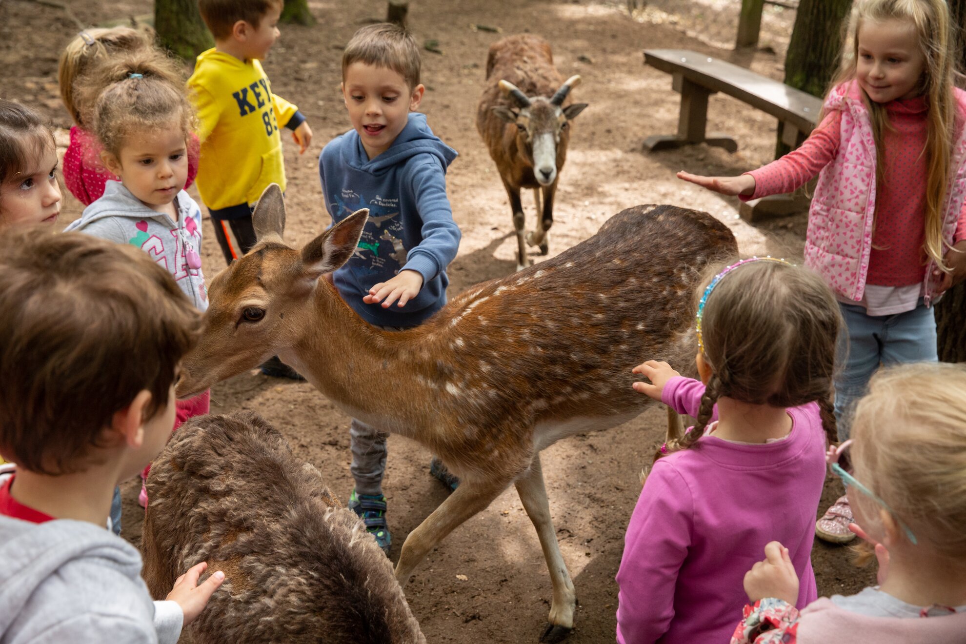 https://mdw-travel-data-us-east-1.s3.amazonaws.com/img/country/Hungary/Tiszakurt-Wildlife-Park/img_01.jpg