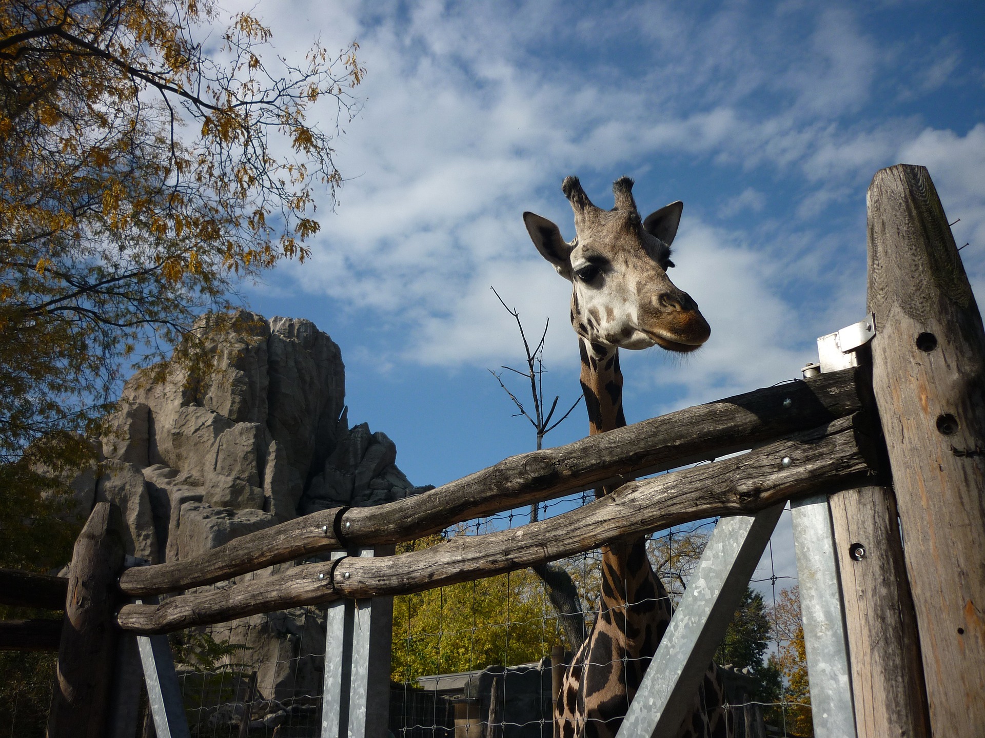 https://mdw-travel-data-us-east-1.s3.amazonaws.com/img/country/Hungary/Veszprem-Zoo/img_01.jpg