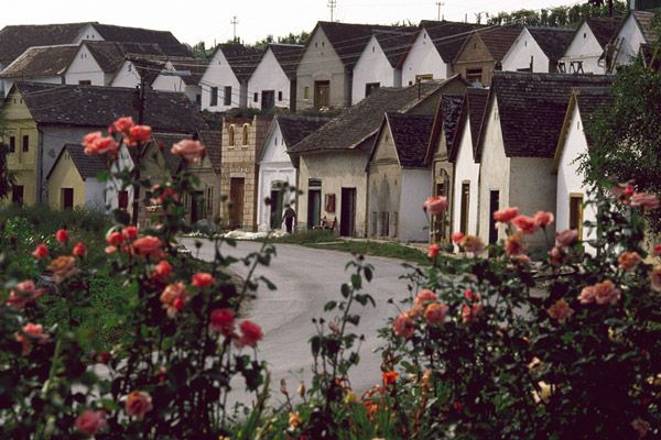 https://mdw-travel-data-us-east-1.s3.amazonaws.com/img/country/Hungary/Villanykovesd-Wine-Cellars/img_01.jpg