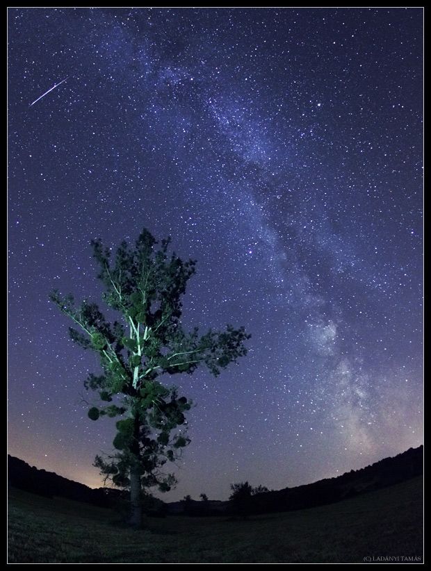 https://mdw-travel-data-us-east-1.s3.amazonaws.com/img/country/Hungary/Zselic-Starry-Sky-Park/img_01.jpg