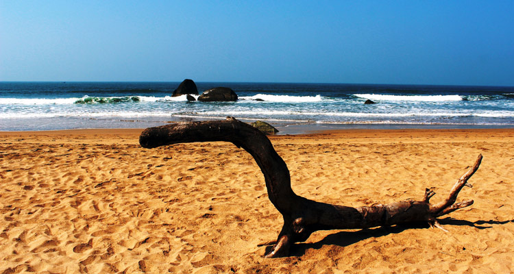 https://mdw-travel-data-us-east-1.s3.amazonaws.com/img/country/India/Agonda-Beach/img_03.jpg