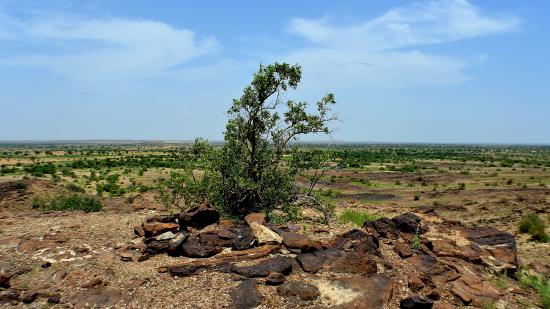https://mdw-travel-data-us-east-1.s3.amazonaws.com/img/country/India/Akal-Wood-Fossil-Park/img_03.jpg