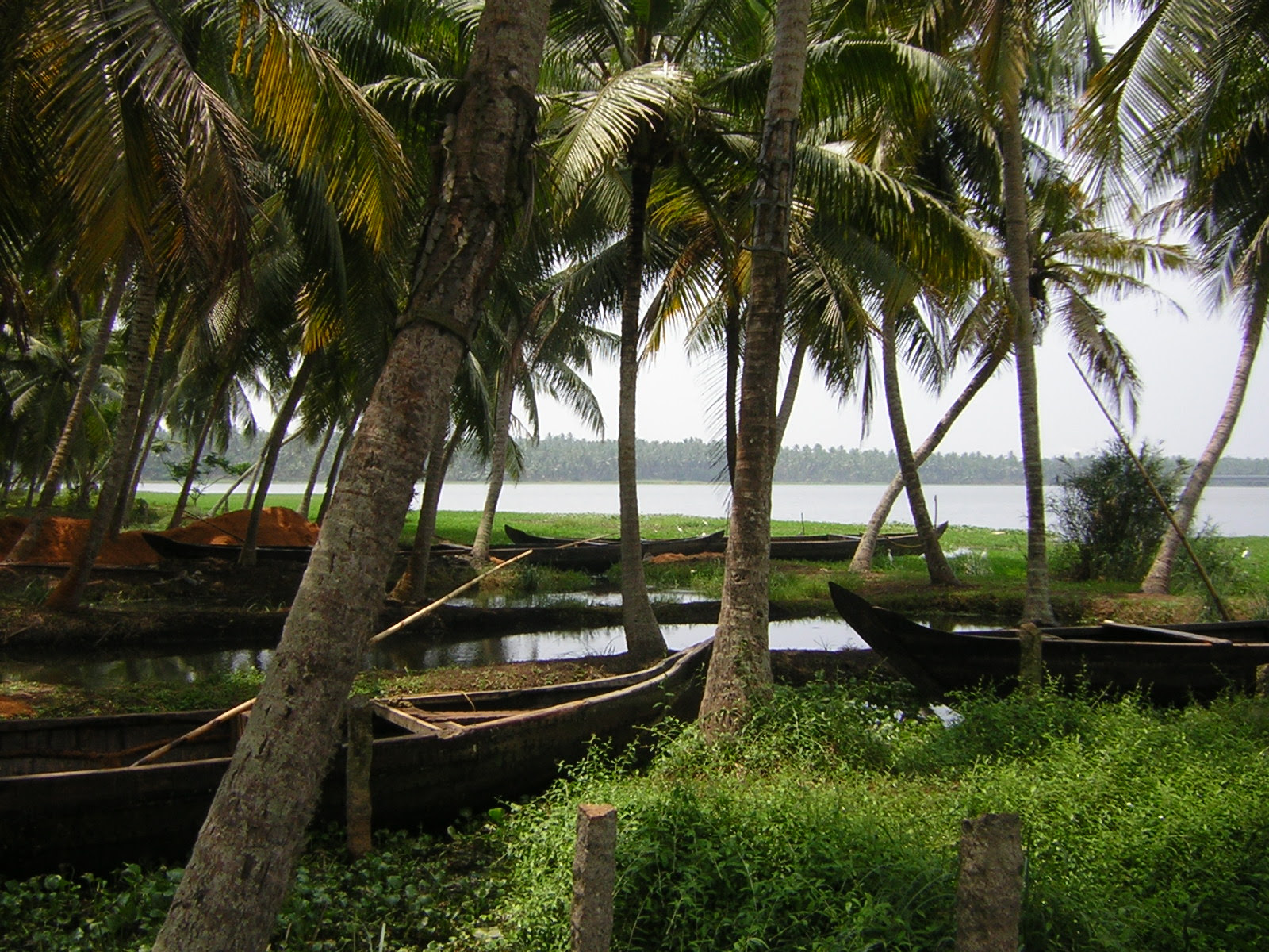https://mdw-travel-data-us-east-1.s3.amazonaws.com/img/country/India/Akkulam-Tourist-Village/img_00.jpg