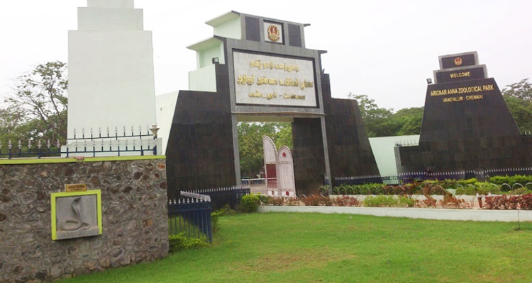 https://mdw-travel-data-us-east-1.s3.amazonaws.com/img/country/India/Arignar-Anna-Zoological-Park/img_01.jpg
