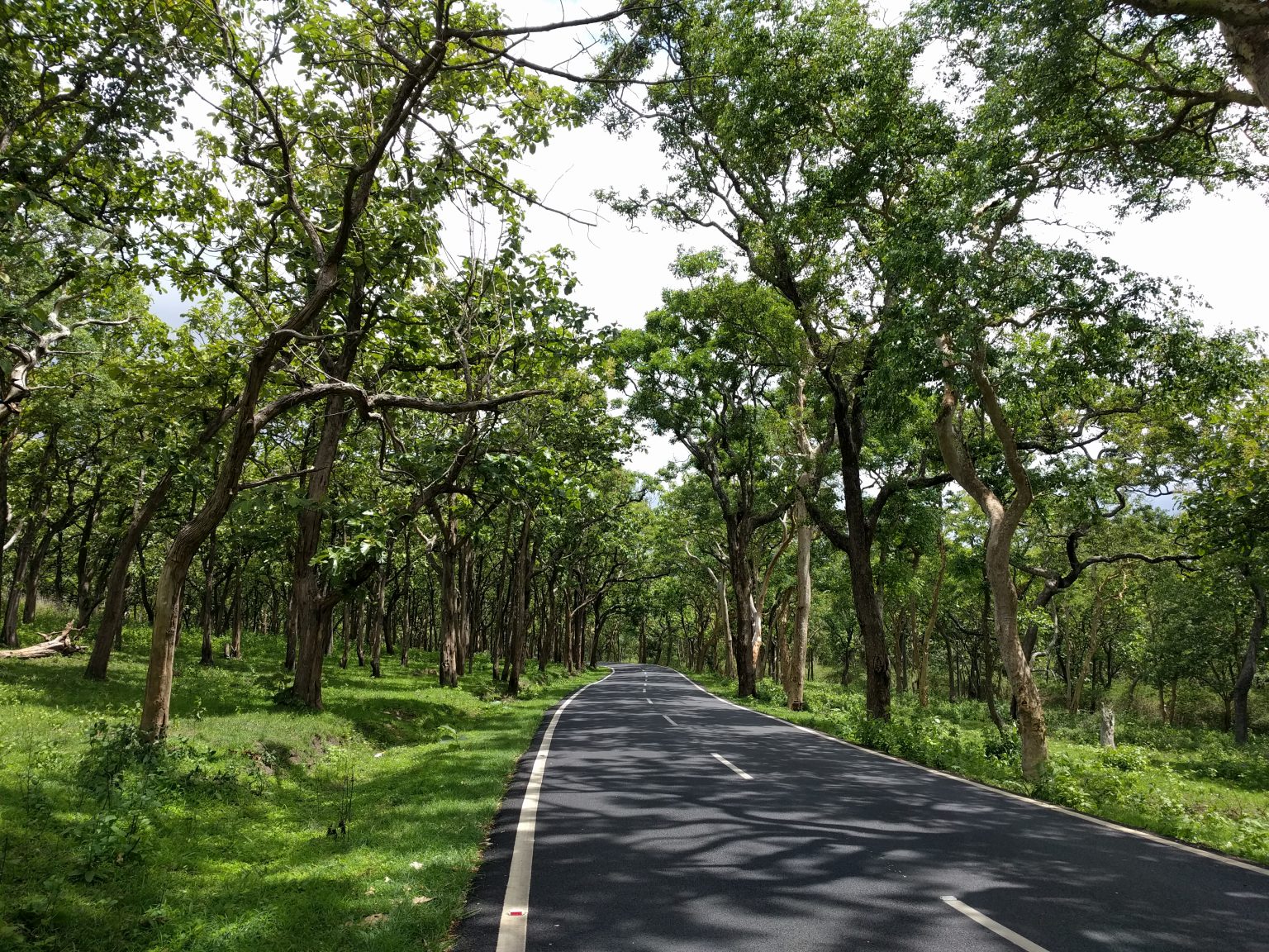 https://mdw-travel-data-us-east-1.s3.amazonaws.com/img/country/India/Bandipur-National-Park/img_03.jpg