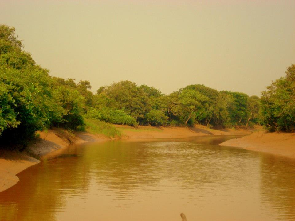 https://mdw-travel-data-us-east-1.s3.amazonaws.com/img/country/India/Bhitarkanika-National-Park/img_03.jpg