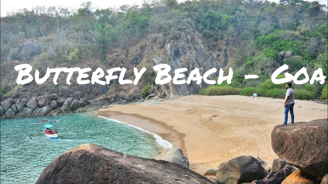https://mdw-travel-data-us-east-1.s3.amazonaws.com/img/country/India/Butterfly-Beach/img_02.jpg