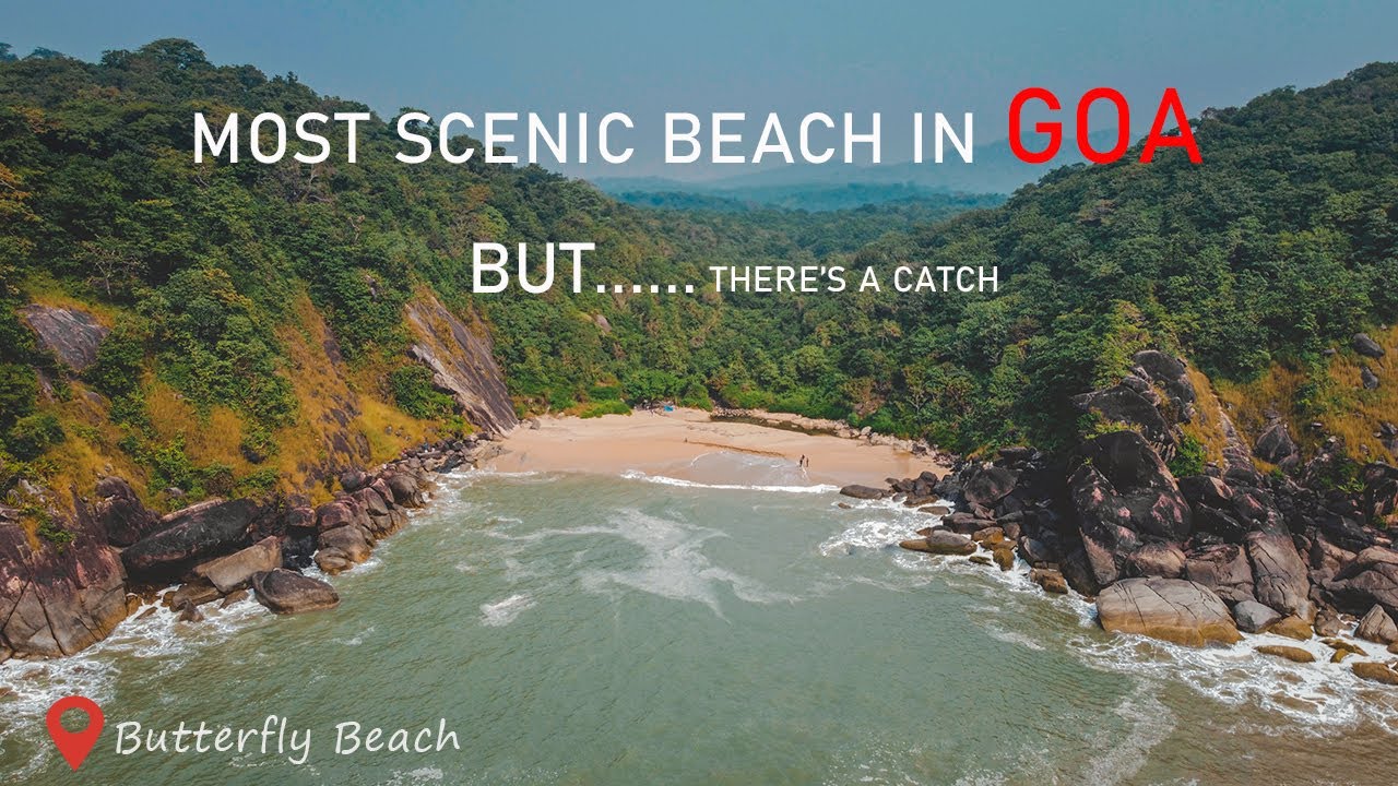 https://mdw-travel-data-us-east-1.s3.amazonaws.com/img/country/India/Butterfly-Beach/img_05.jpg
