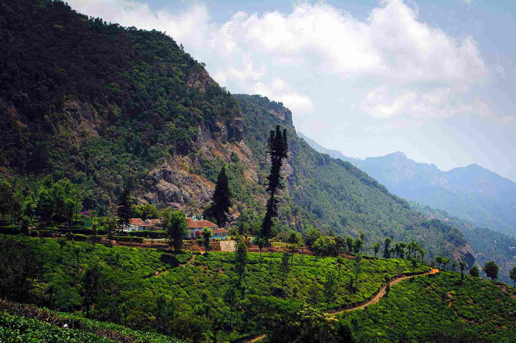 https://mdw-travel-data-us-east-1.s3.amazonaws.com/img/country/India/Coonoor-Tea-Estate/img_01.jpg