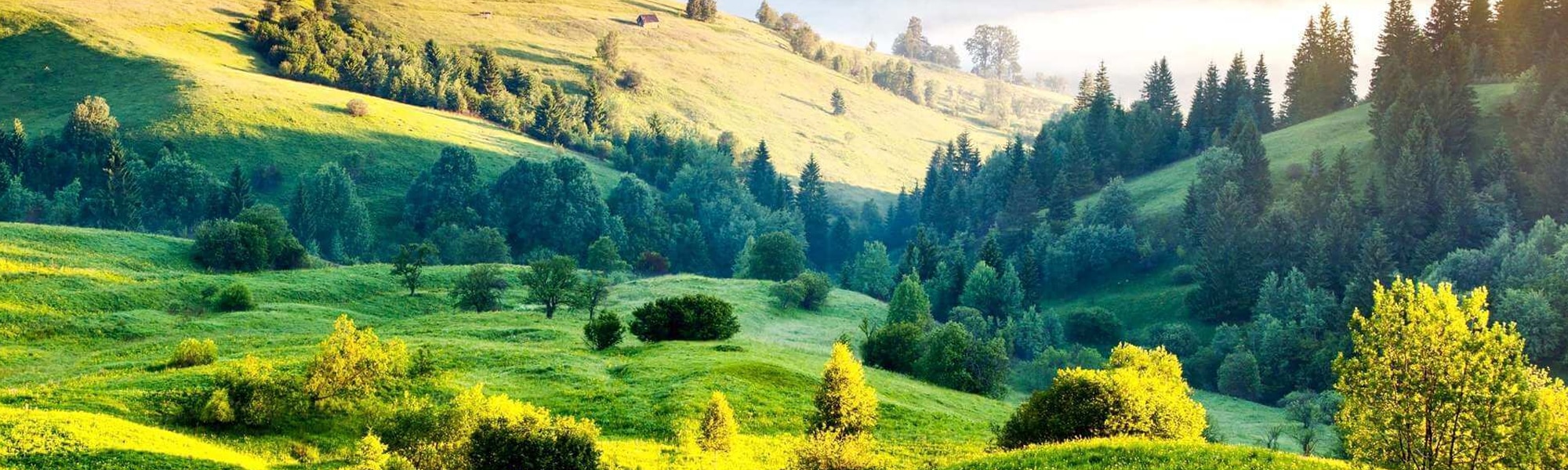https://mdw-travel-data-us-east-1.s3.amazonaws.com/img/country/India/Doddabetta-Peak/img_03.jpg