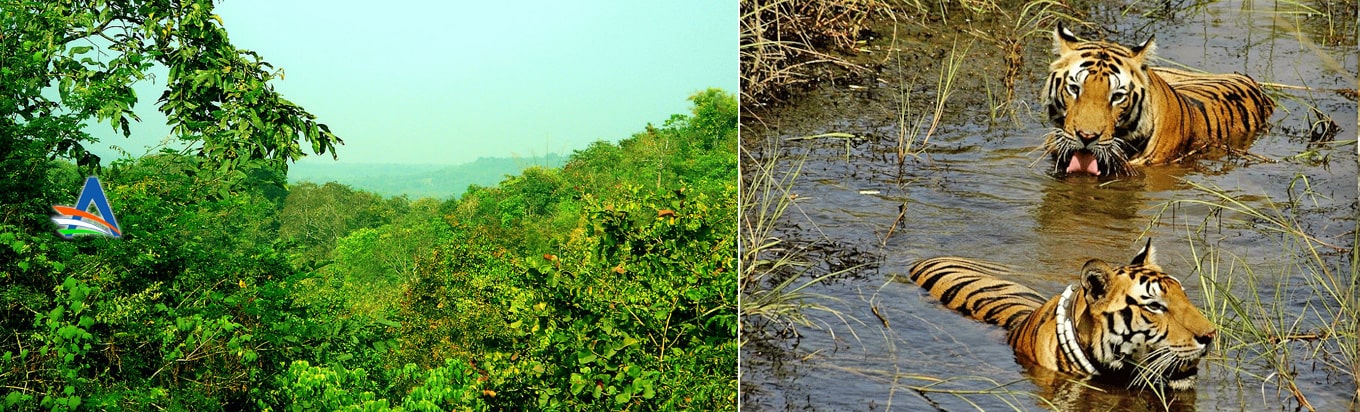 https://mdw-travel-data-us-east-1.s3.amazonaws.com/img/country/India/Eturunagaram-Wildlife-Sanctuary/img_01.jpg
