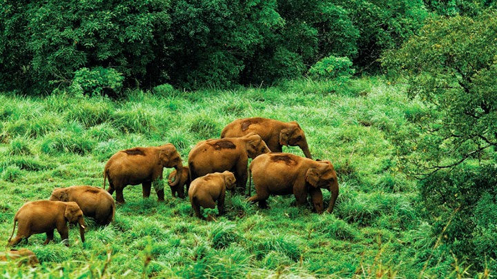 https://mdw-travel-data-us-east-1.s3.amazonaws.com/img/country/India/Gavi/img_01.jpg