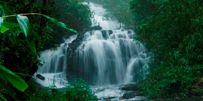 https://mdw-travel-data-us-east-1.s3.amazonaws.com/img/country/India/Gavi/img_03.jpg