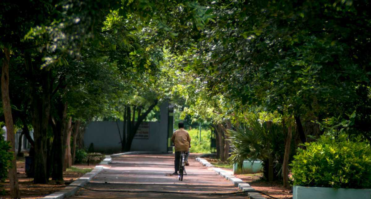 https://mdw-travel-data-us-east-1.s3.amazonaws.com/img/country/India/Guindy-National-Park/img_03.jpg