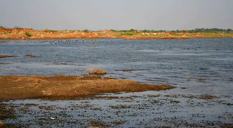 https://mdw-travel-data-us-east-1.s3.amazonaws.com/img/country/India/Himayat-Sagar-Lake/img_02.jpg