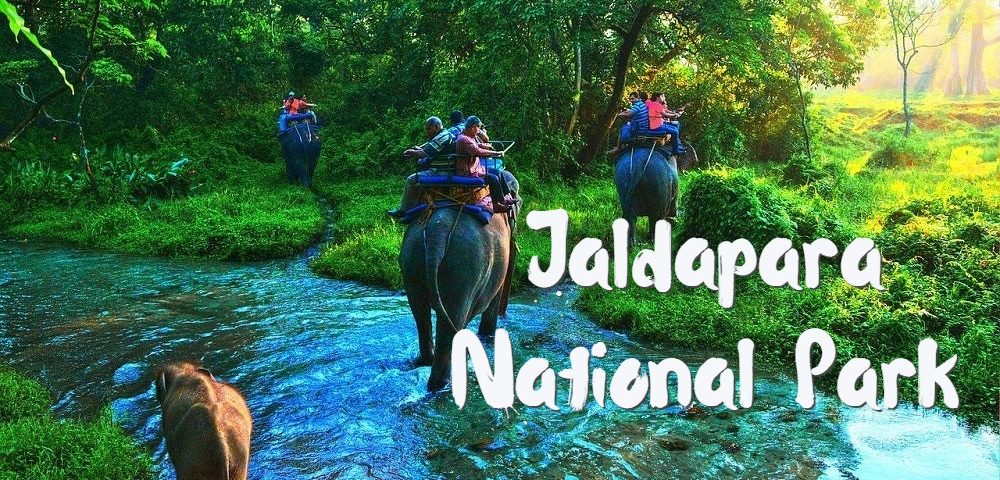 https://mdw-travel-data-us-east-1.s3.amazonaws.com/img/country/India/Jaldapara-National-Park/img_00.jpg