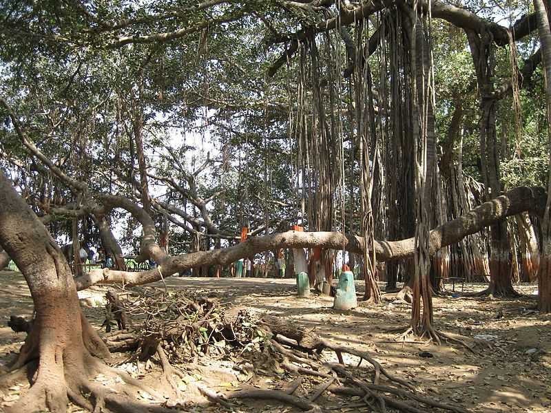 https://mdw-travel-data-us-east-1.s3.amazonaws.com/img/country/India/Kabirvad/img_02.jpg
