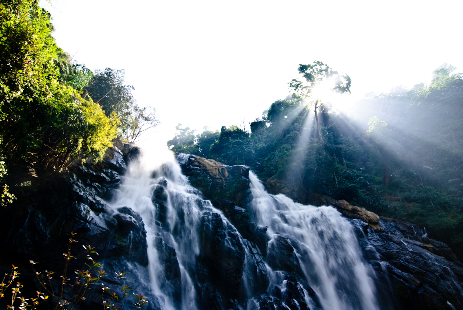 https://mdw-travel-data-us-east-1.s3.amazonaws.com/img/country/India/Kalpetta/img_02.jpg