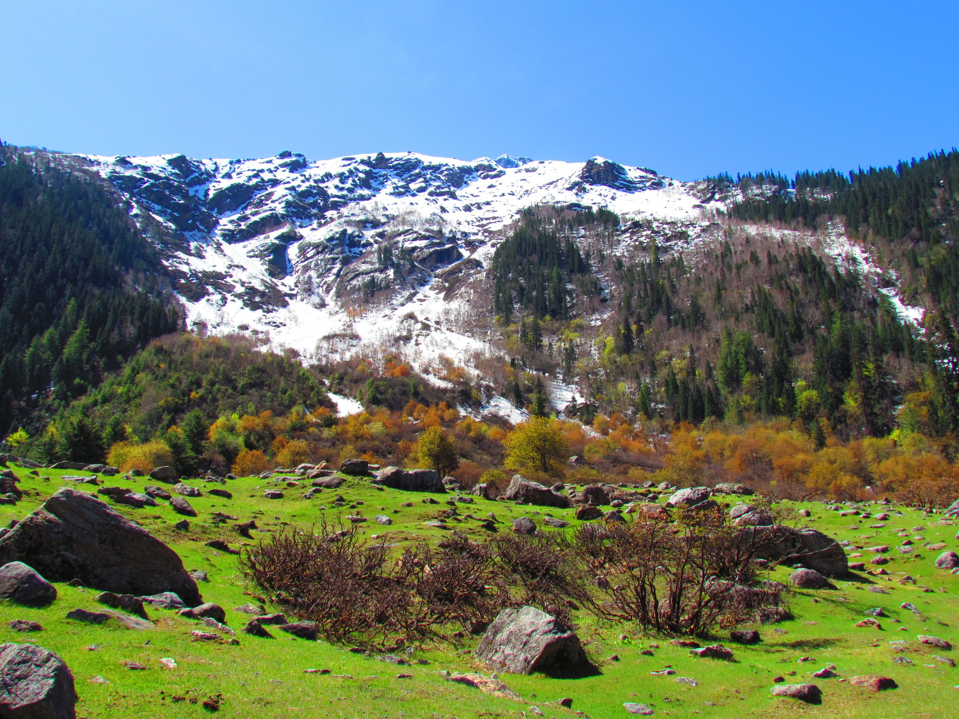 https://mdw-travel-data-us-east-1.s3.amazonaws.com/img/country/India/Kasol/img_02.jpg