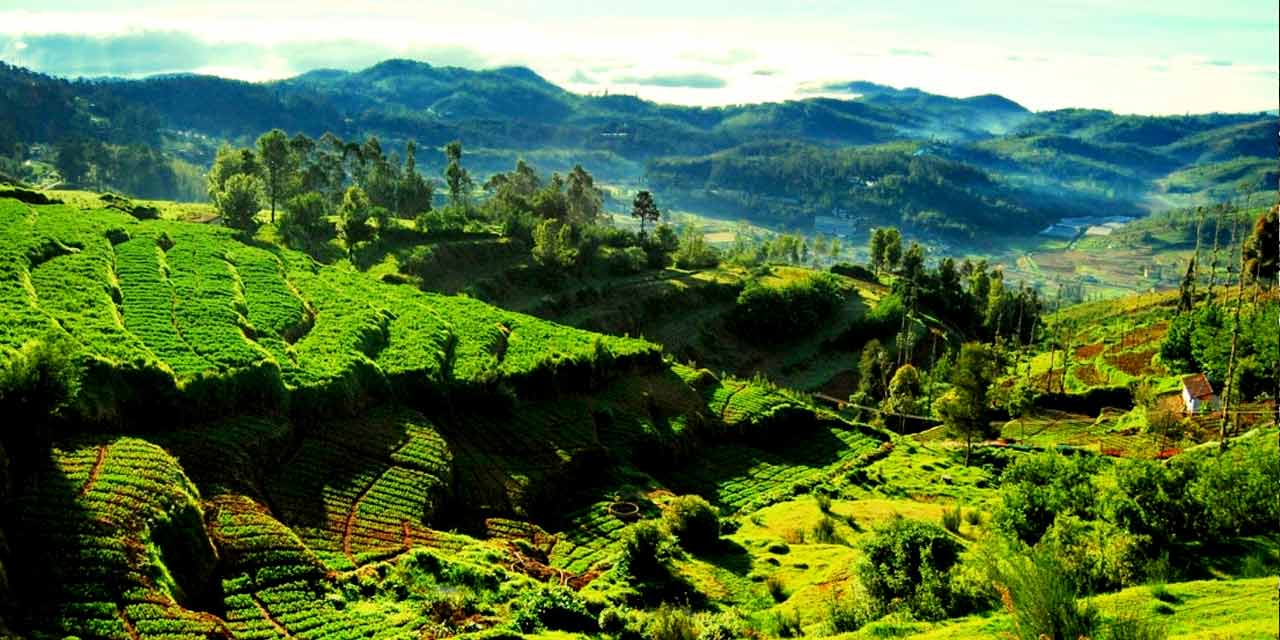 https://mdw-travel-data-us-east-1.s3.amazonaws.com/img/country/India/Ketti-Valley-Viewpoint/img_00.jpg
