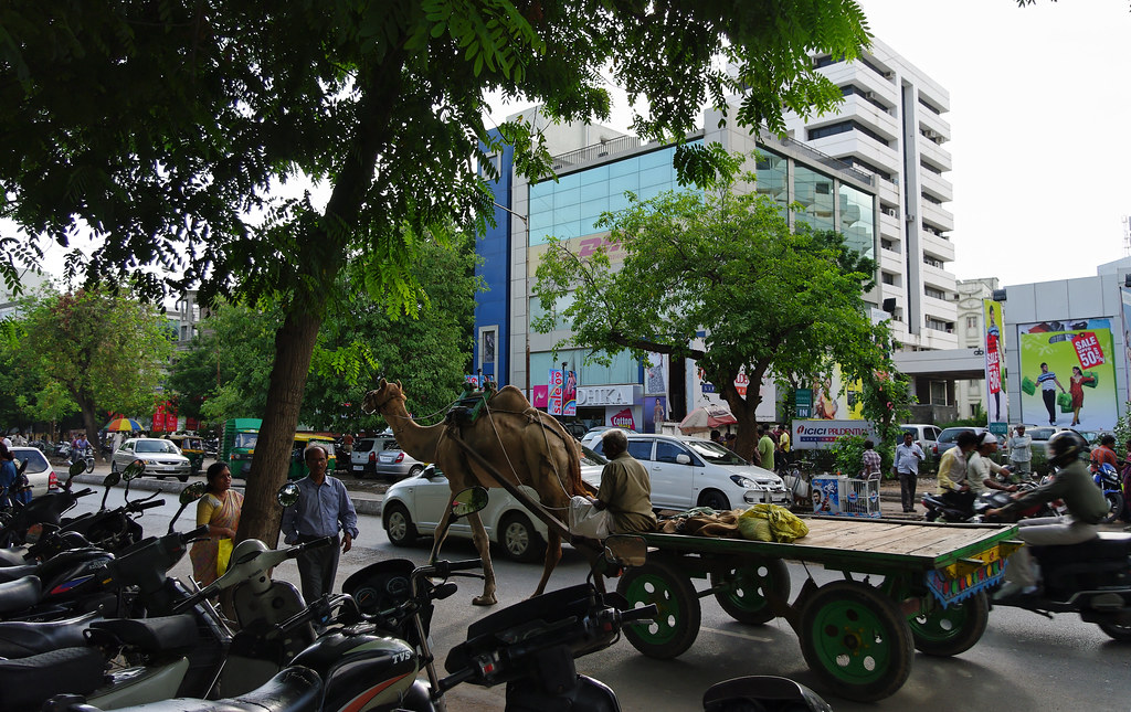 https://mdw-travel-data-us-east-1.s3.amazonaws.com/img/country/India/Law-Garden/img_00.jpg