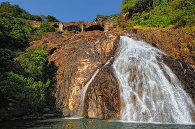 https://mdw-travel-data-us-east-1.s3.amazonaws.com/img/country/India/Mollem-National-Park/img_01.jpg