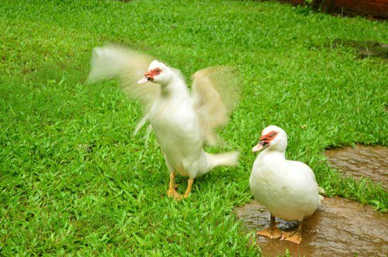 https://mdw-travel-data-us-east-1.s3.amazonaws.com/img/country/India/Mollem-National-Park/img_02.jpg