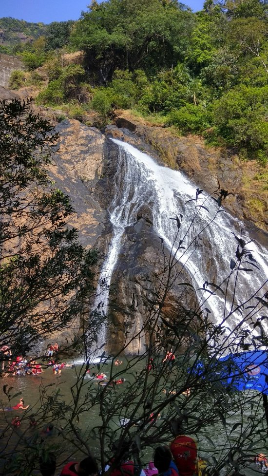 https://mdw-travel-data-us-east-1.s3.amazonaws.com/img/country/India/Mollem-National-Park/img_03.jpg