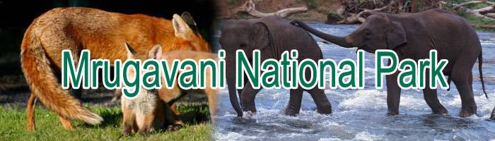 https://mdw-travel-data-us-east-1.s3.amazonaws.com/img/country/India/Mrugavani-National-Park/img_02.jpg