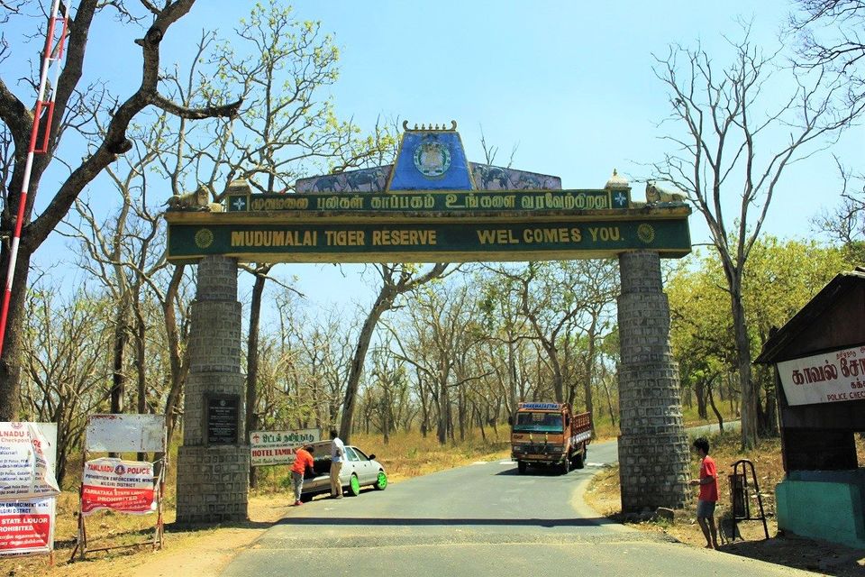 https://mdw-travel-data-us-east-1.s3.amazonaws.com/img/country/India/Mudumalai-National-Park/img_01.jpg