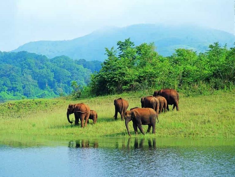 https://mdw-travel-data-us-east-1.s3.amazonaws.com/img/country/India/Mudumalai-National-Park/img_02.jpg