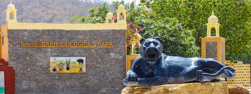 https://mdw-travel-data-us-east-1.s3.amazonaws.com/img/country/India/Nahargarh-Biological-Park/img_01.jpg