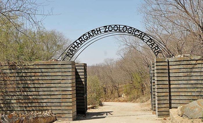 https://mdw-travel-data-us-east-1.s3.amazonaws.com/img/country/India/Nahargarh-Biological-Park/img_03.jpg