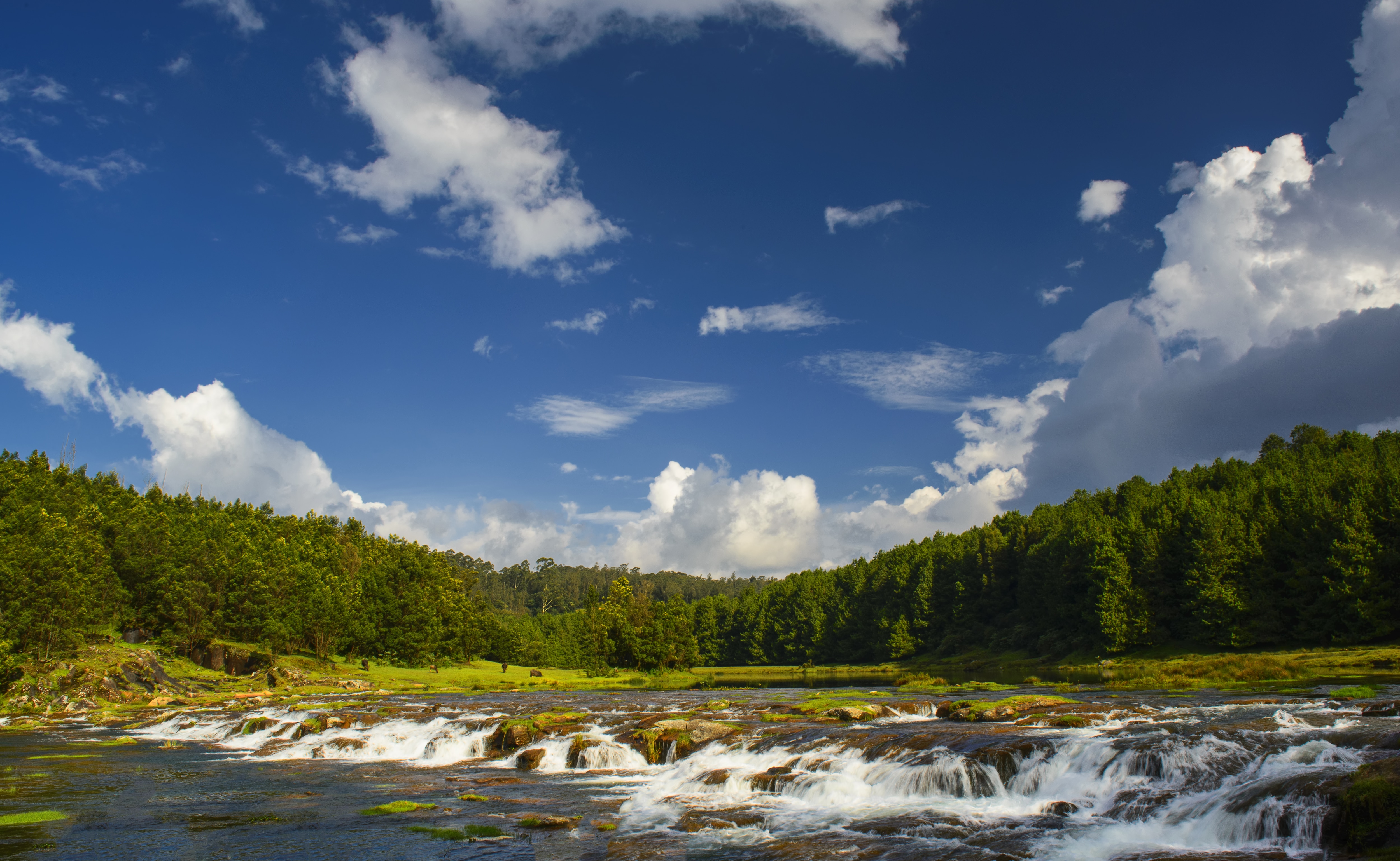 https://mdw-travel-data-us-east-1.s3.amazonaws.com/img/country/India/Ooty-Lake/img_02.jpg