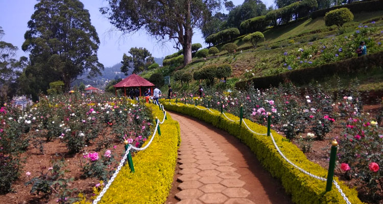 https://mdw-travel-data-us-east-1.s3.amazonaws.com/img/country/India/Ooty-Rose-Gardens/img_01.jpg