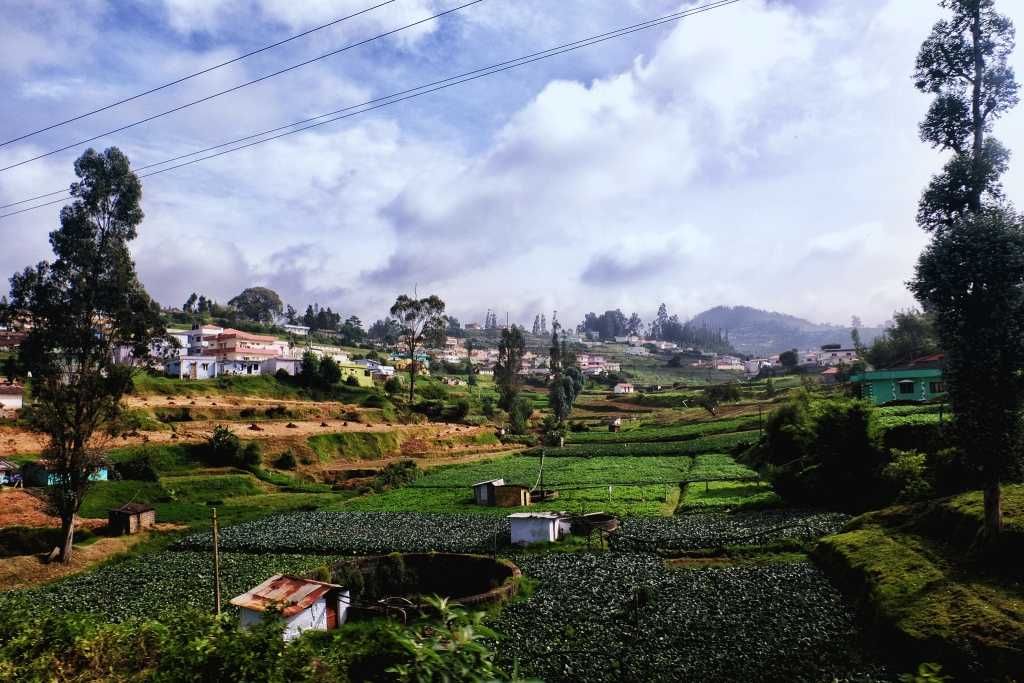 https://mdw-travel-data-us-east-1.s3.amazonaws.com/img/country/India/Ooty/img_03.jpg