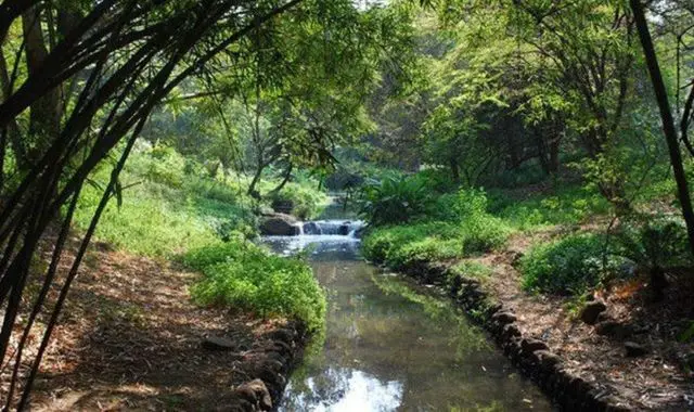 https://mdw-travel-data-us-east-1.s3.amazonaws.com/img/country/India/Osho-Garden/img_01.jpg