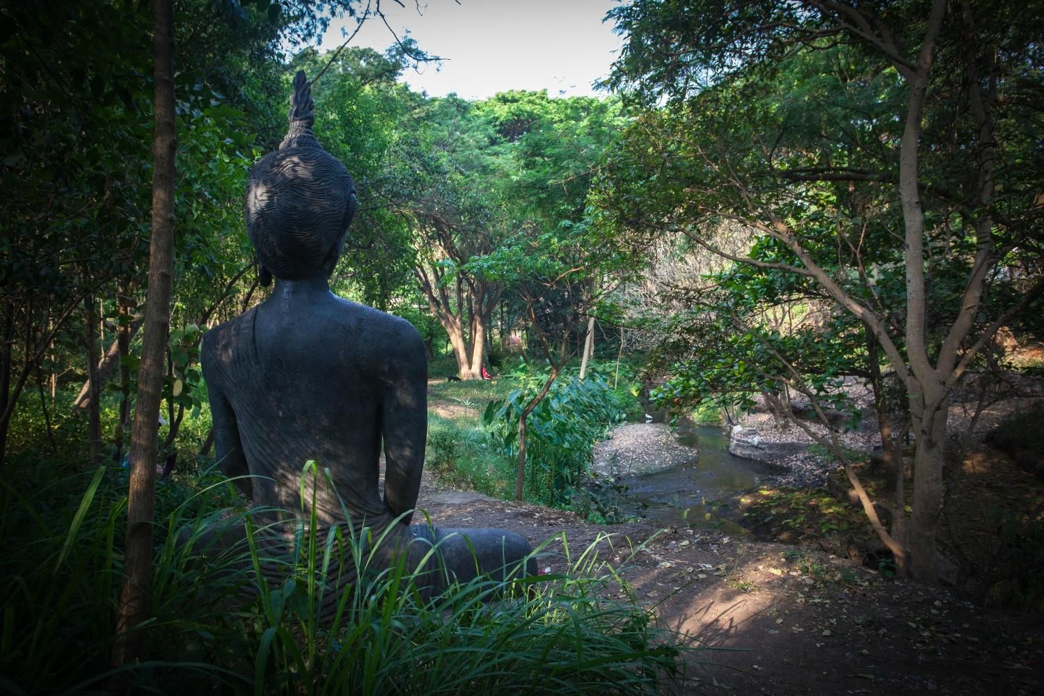 https://mdw-travel-data-us-east-1.s3.amazonaws.com/img/country/India/Osho-Garden/img_02.jpg