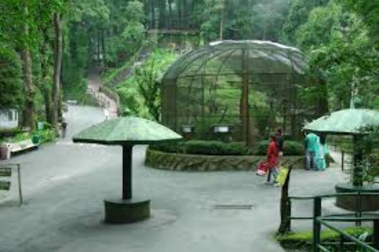https://mdw-travel-data-us-east-1.s3.amazonaws.com/img/country/India/Padmaja-Naidu-Himalayan-Zoological-Park/img_02.jpg