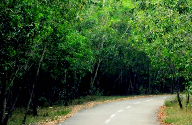 https://mdw-travel-data-us-east-1.s3.amazonaws.com/img/country/India/Peppara-Wildlife-Sanctuary/img_02.jpg