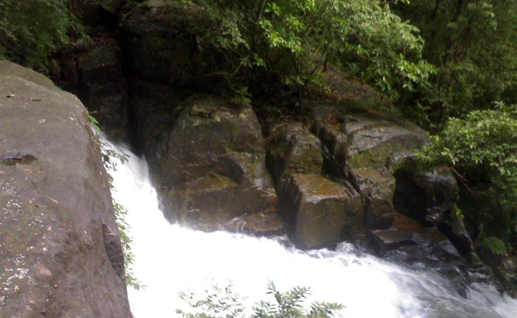 https://mdw-travel-data-us-east-1.s3.amazonaws.com/img/country/India/Peppara-Wildlife-Sanctuary/img_03.jpg