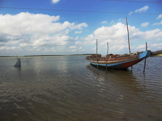 https://mdw-travel-data-us-east-1.s3.amazonaws.com/img/country/India/Pulicat-Lake/img_01.jpg