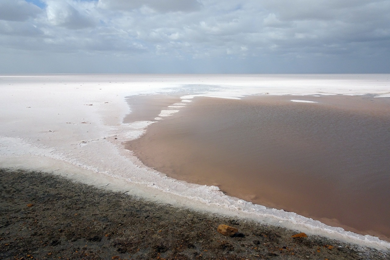 https://mdw-travel-data-us-east-1.s3.amazonaws.com/img/country/India/Rann-of-Kutch/img_00.jpg