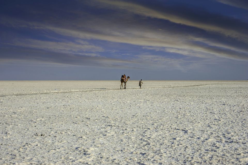 https://mdw-travel-data-us-east-1.s3.amazonaws.com/img/country/India/Rann-of-Kutch/img_03.jpg