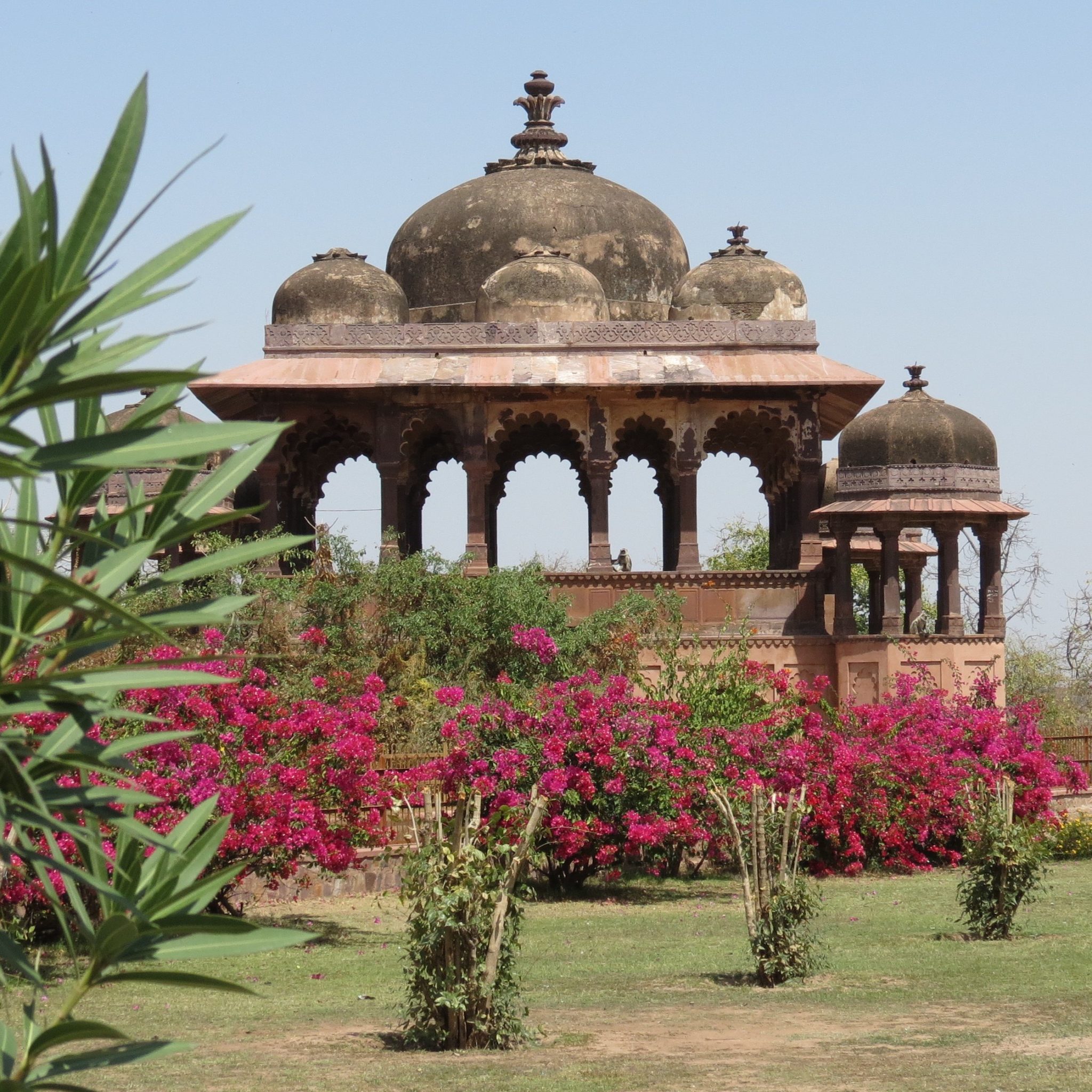 https://mdw-travel-data-us-east-1.s3.amazonaws.com/img/country/India/Ranthambore-National-Park/img_01.jpg