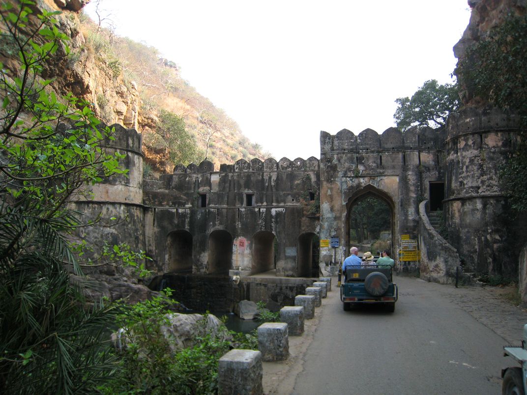 https://mdw-travel-data-us-east-1.s3.amazonaws.com/img/country/India/Ranthambore-National-Park/img_02.jpg