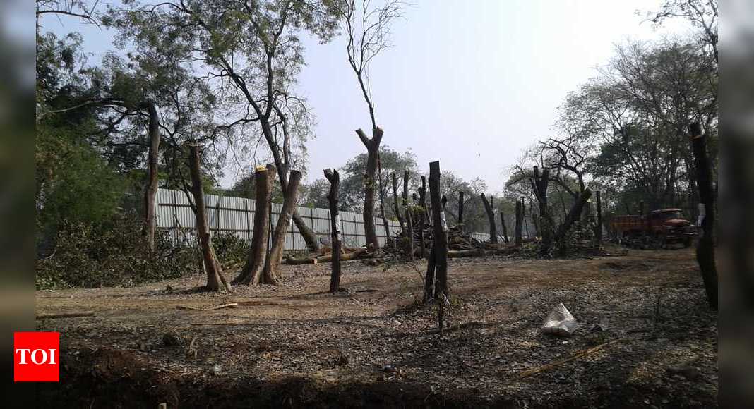 https://mdw-travel-data-us-east-1.s3.amazonaws.com/img/country/India/Salim-Ali-Bird-Sanctuary/img_02.jpg
