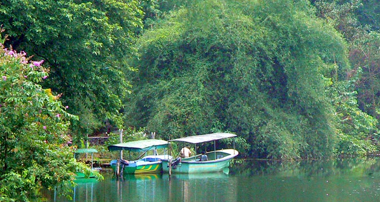 https://mdw-travel-data-us-east-1.s3.amazonaws.com/img/country/India/Salim-Ali-Bird-Sanctuary/img_03.jpg