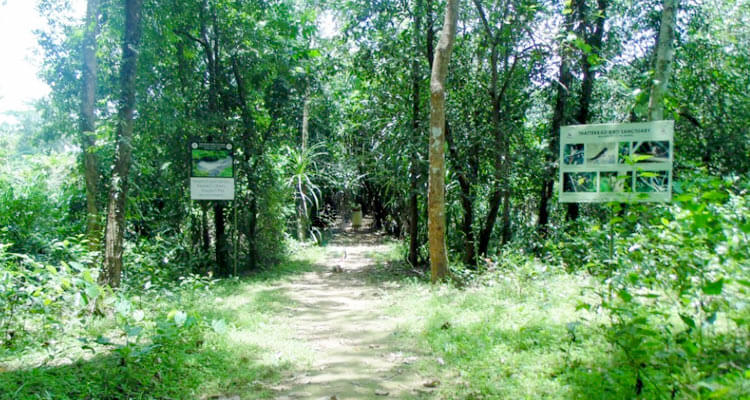 https://mdw-travel-data-us-east-1.s3.amazonaws.com/img/country/India/Salim-Ali-Bird-Sanctuary/img_04.jpg